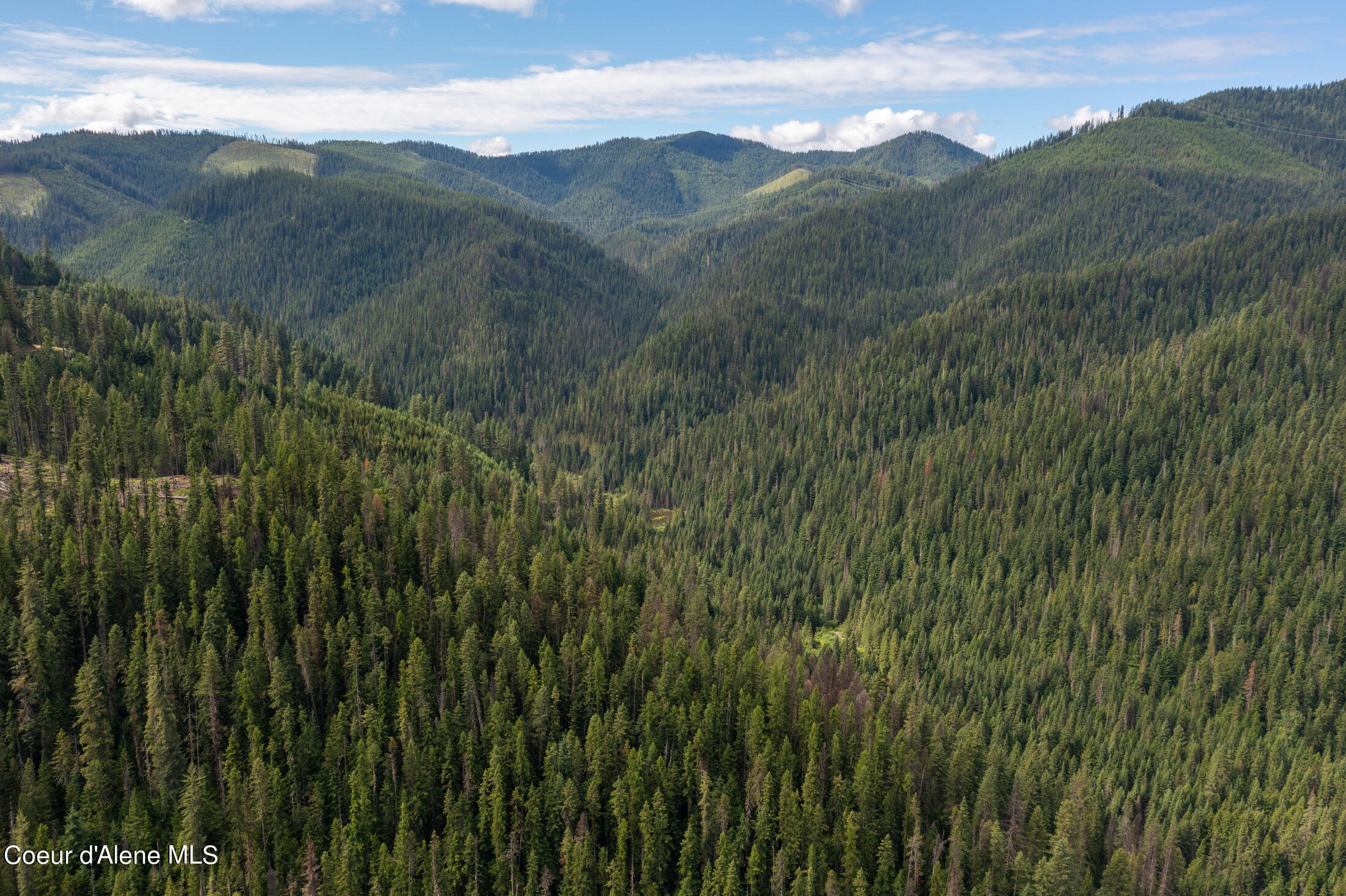 NNA Beaver Creek Rd, Wallace, Idaho image 34
