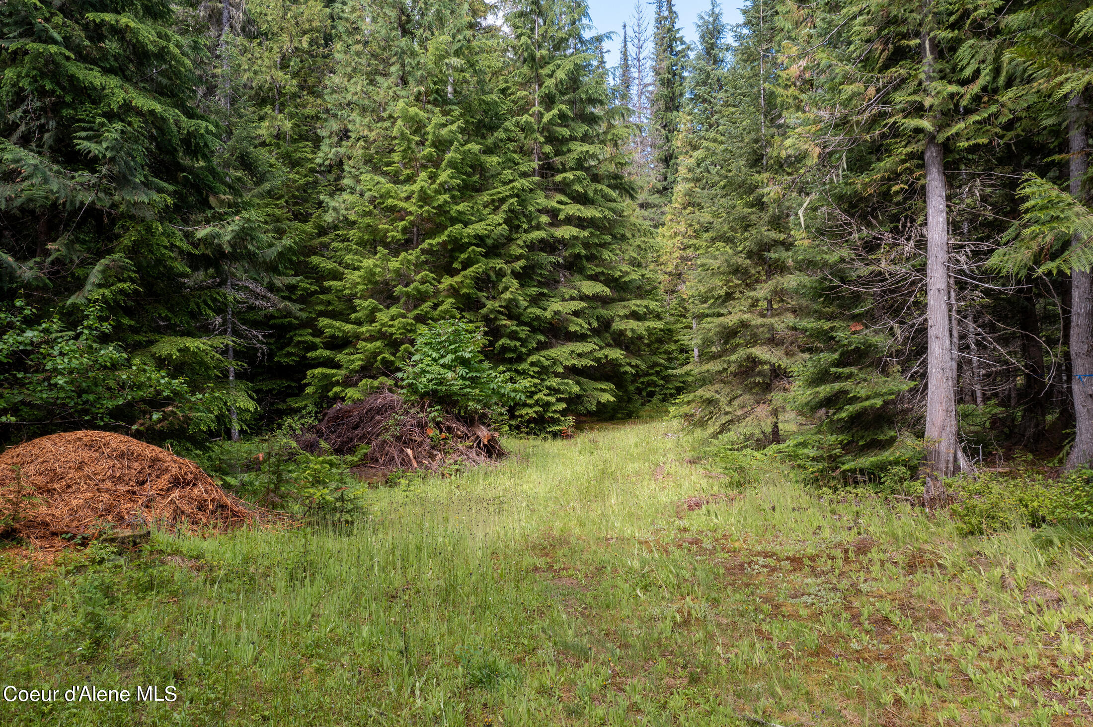 NNA Beaver Creek Rd, Wallace, Idaho image 15