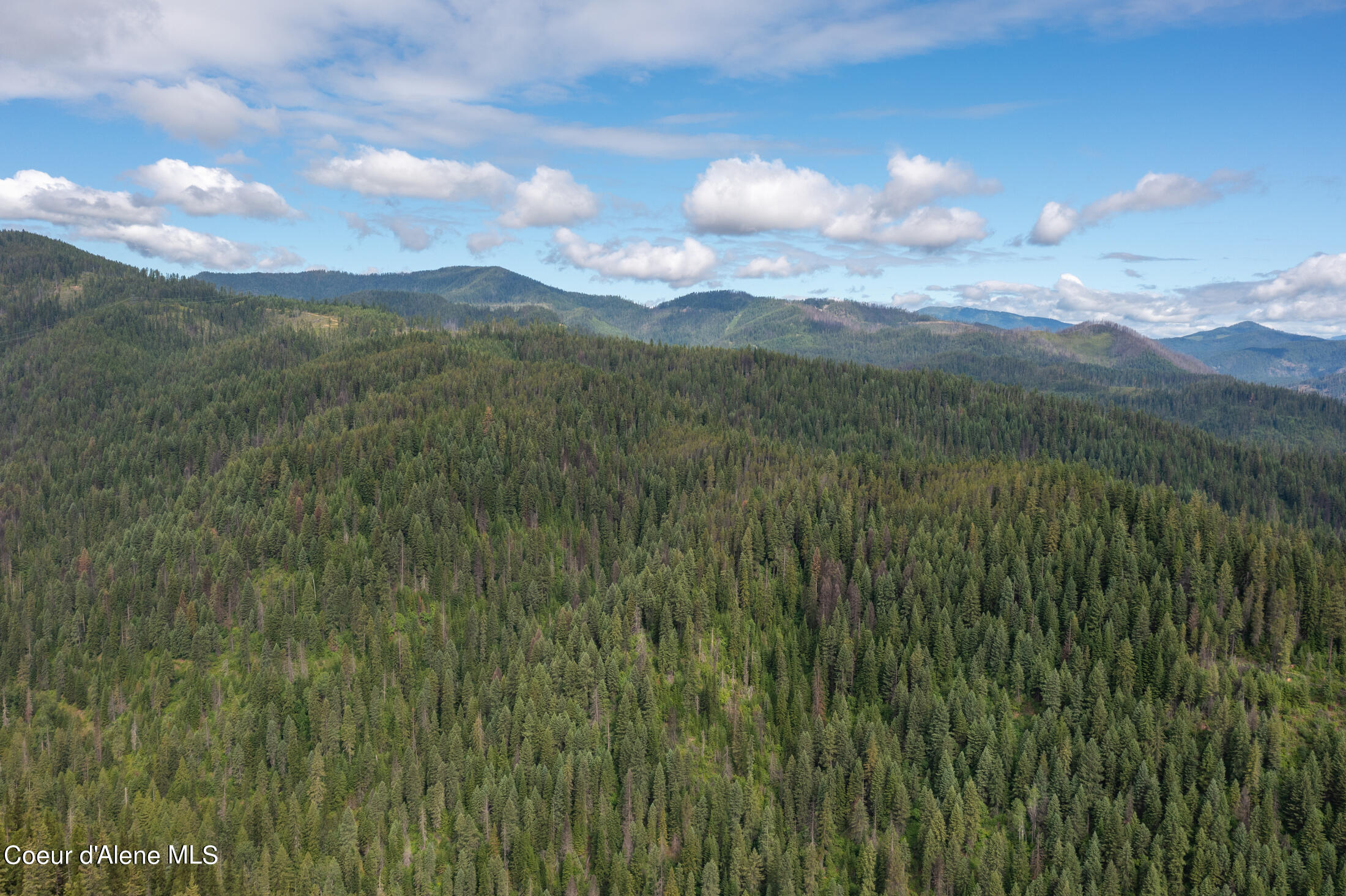 NNA Beaver Creek Rd, Wallace, Idaho image 48