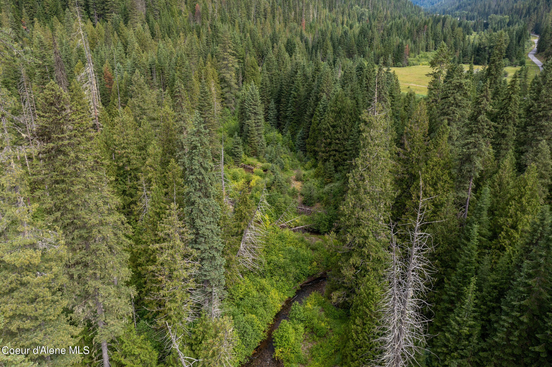 NNA Beaver Creek Rd, Wallace, Idaho image 40