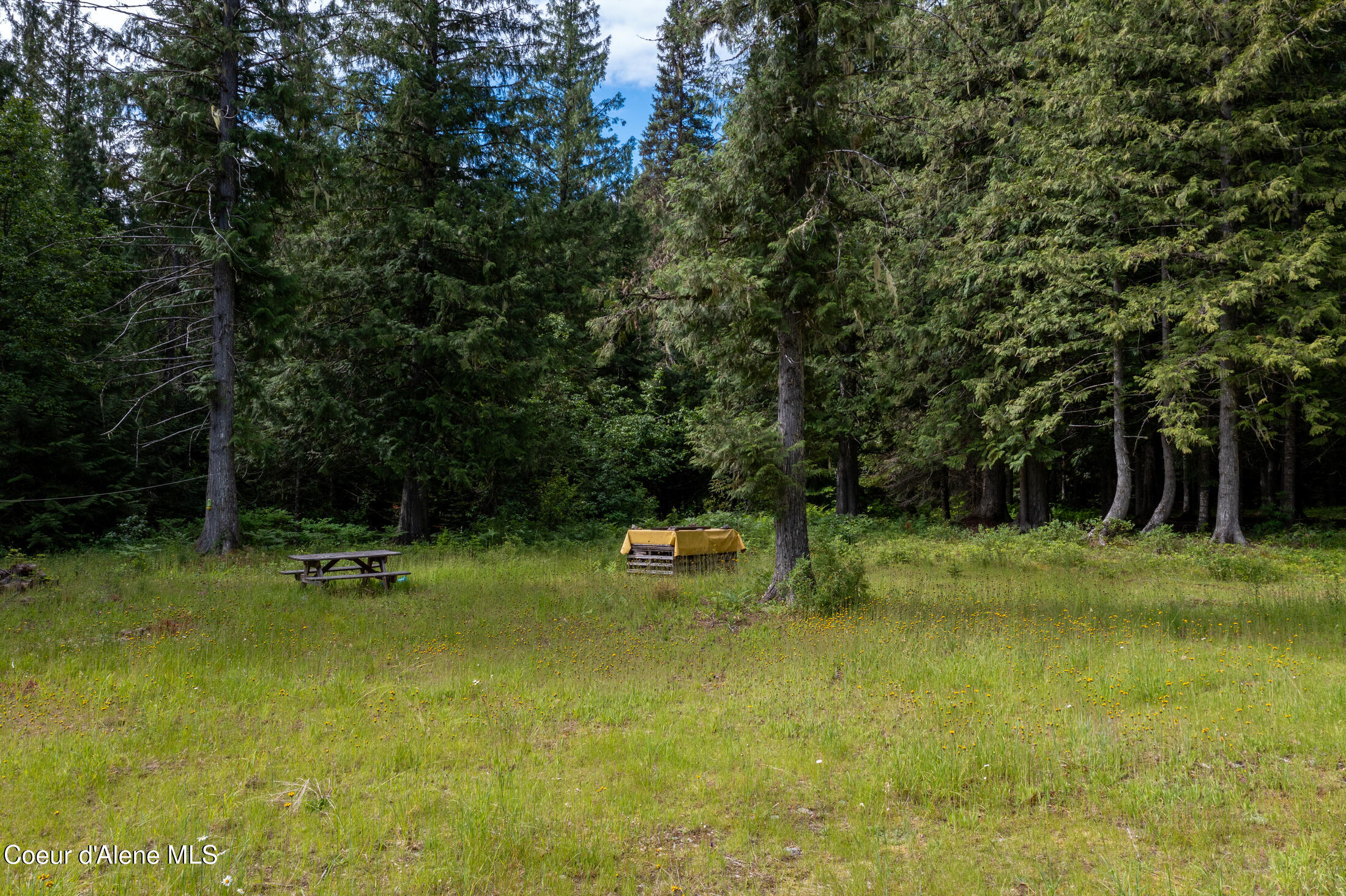 NNA Beaver Creek Rd, Wallace, Idaho image 20