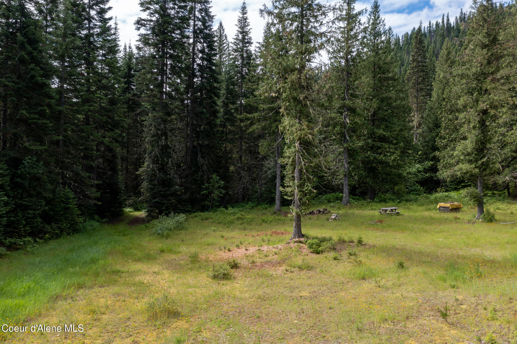 NNA Beaver Creek Rd, Wallace, Idaho image 24