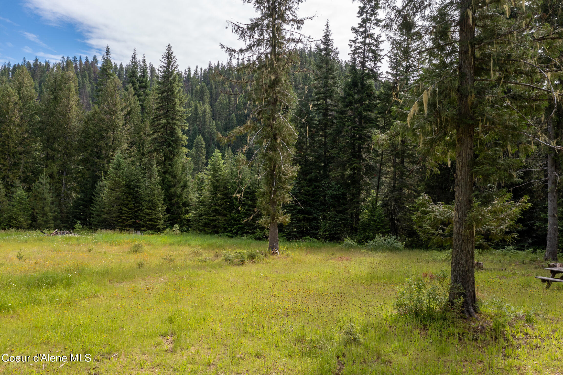 NNA Beaver Creek Rd, Wallace, Idaho image 22
