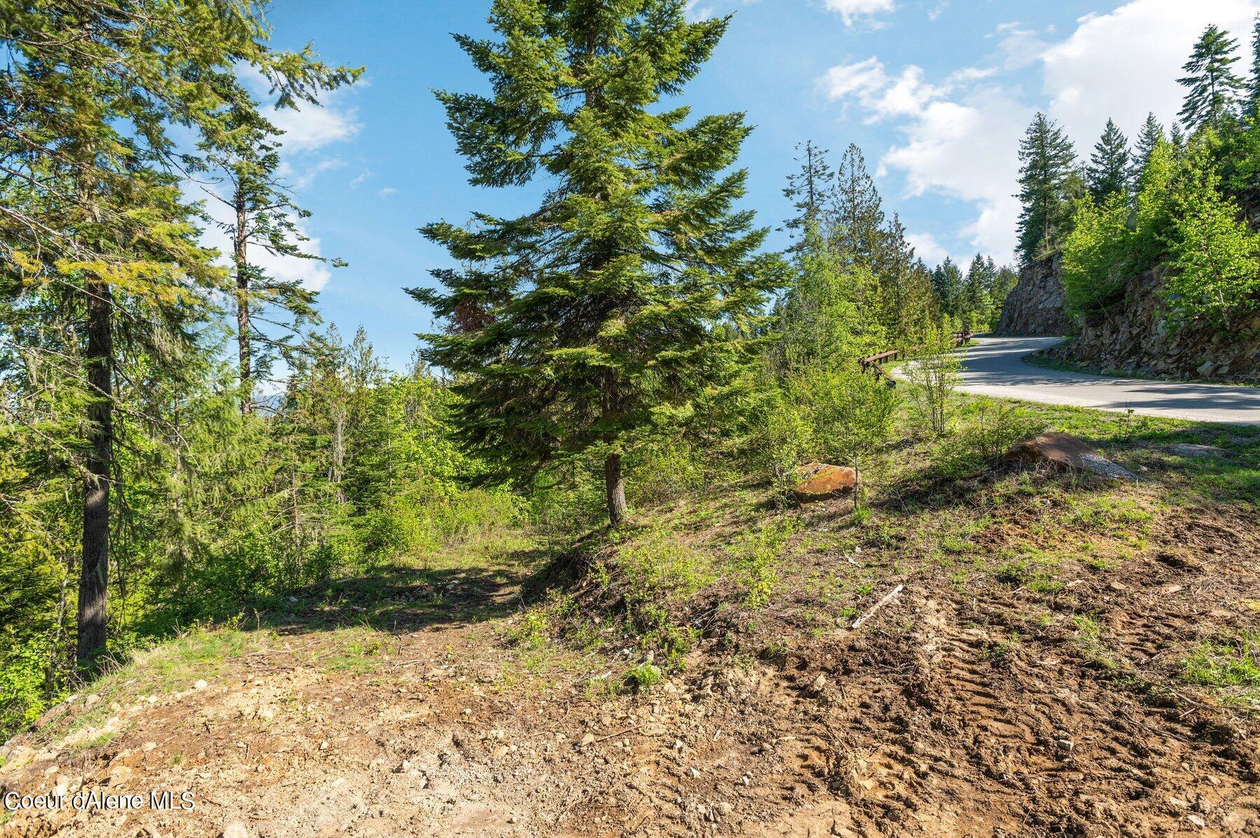 NNA  E30 SE Green Monarch Way, Sandpoint, Alaska image 12
