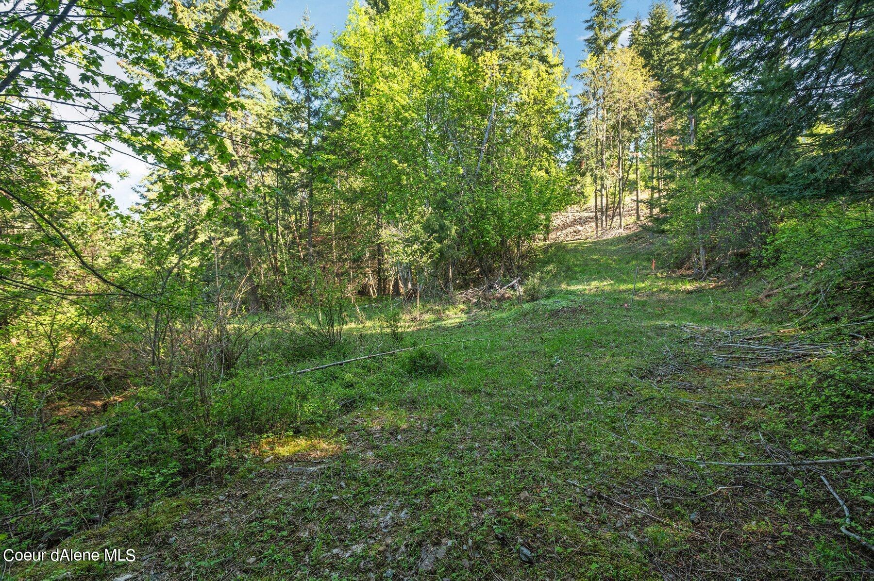 NNA  E30 SE Green Monarch Way, Sandpoint, Alaska image 7