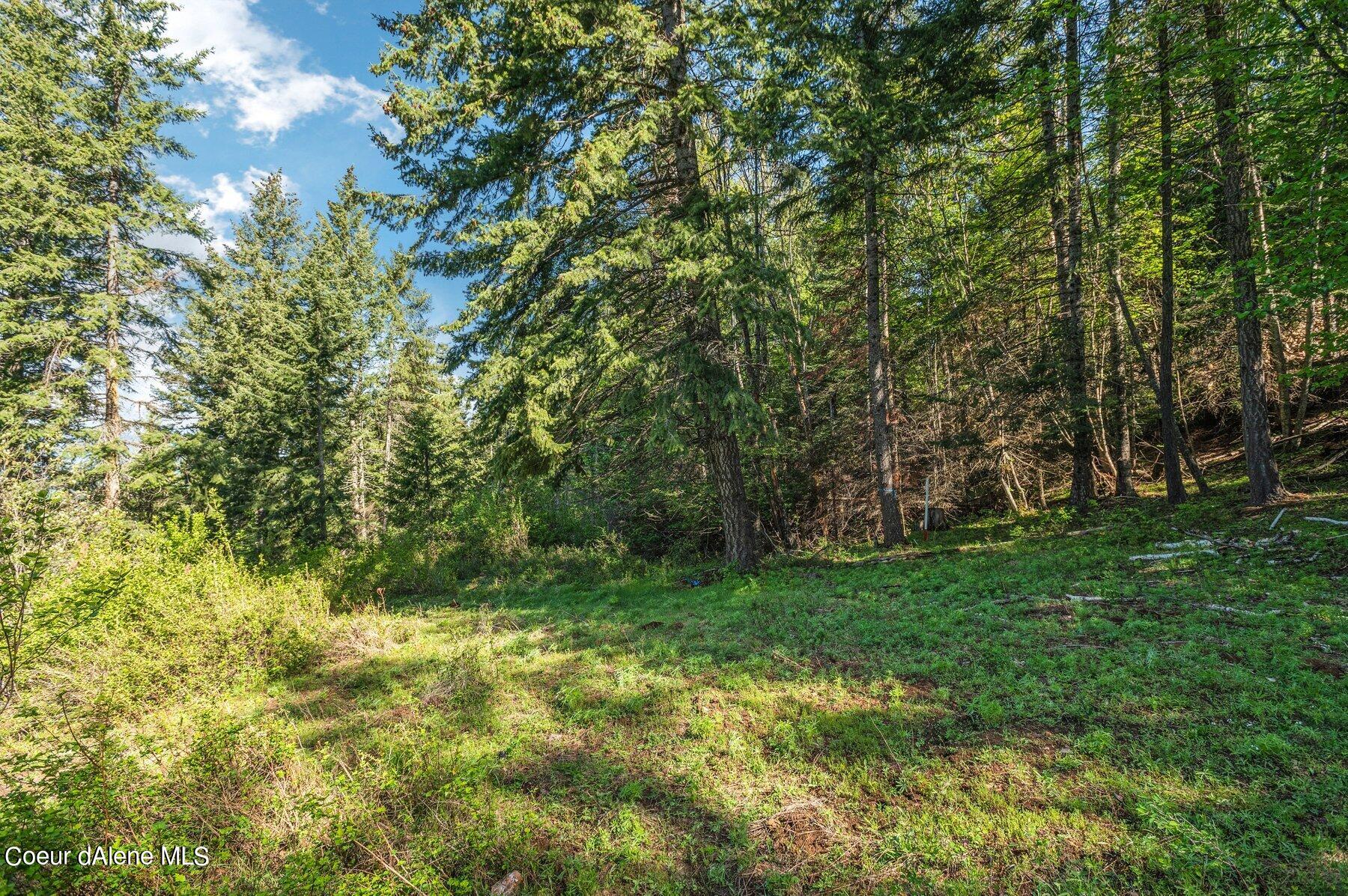 NNA  E30 SE Green Monarch Way, Sandpoint, Alaska image 11