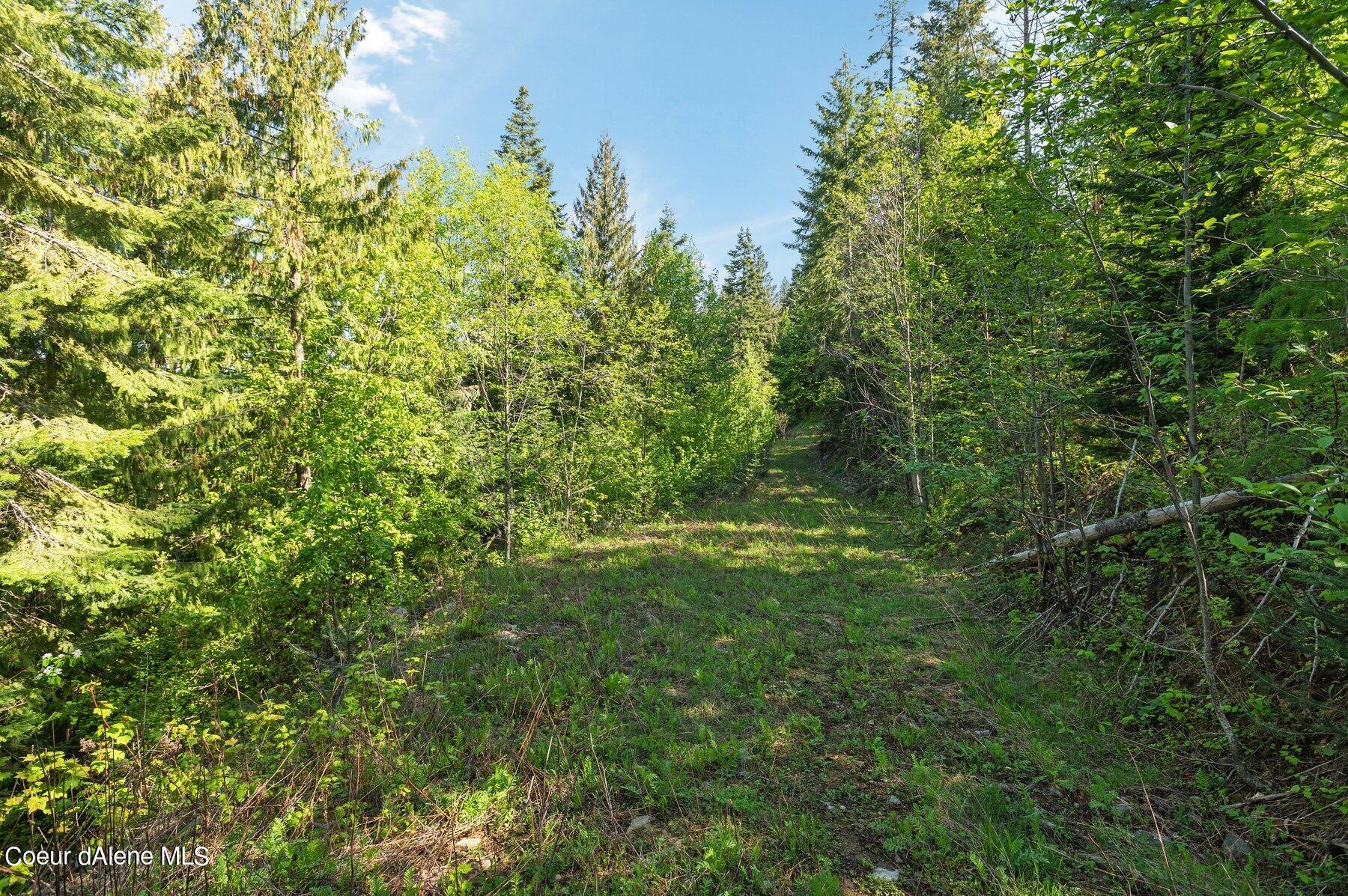 NNA  E30 SE Green Monarch Way, Sandpoint, Alaska image 14