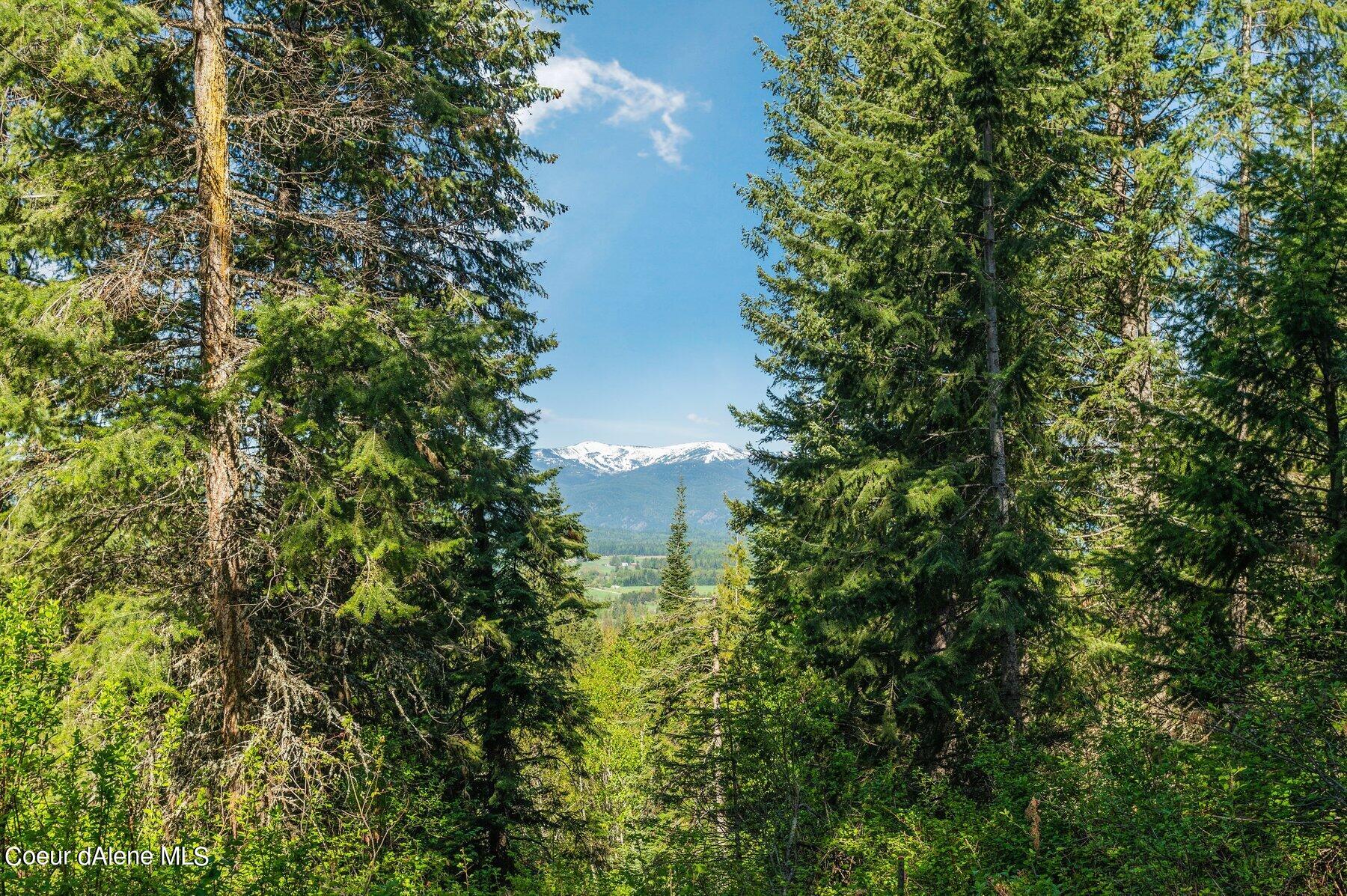 NNA  E30 SE Green Monarch Way, Sandpoint, Alaska image 10