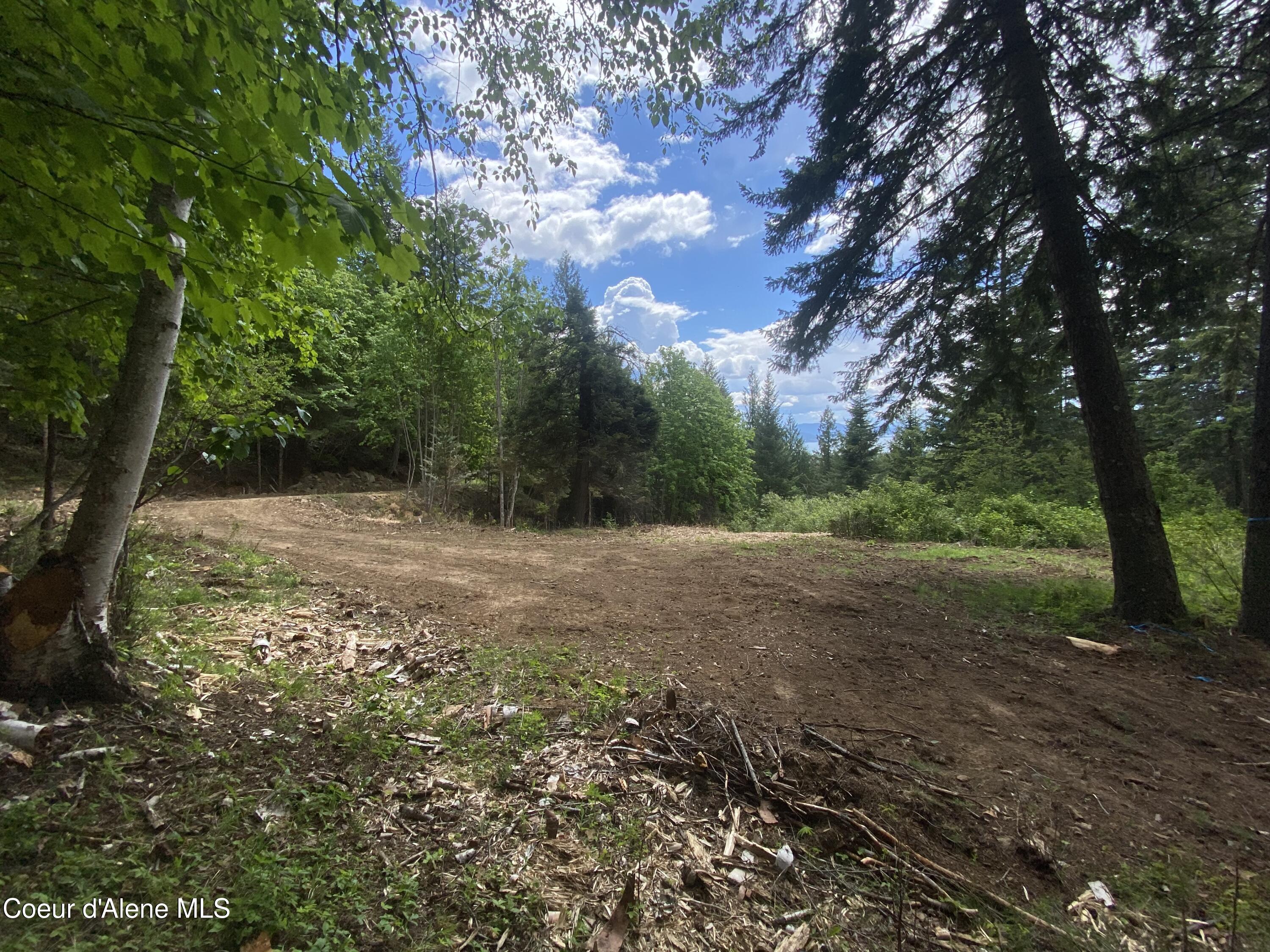 NNA  E30 SE Green Monarch Way, Sandpoint, Alaska image 1