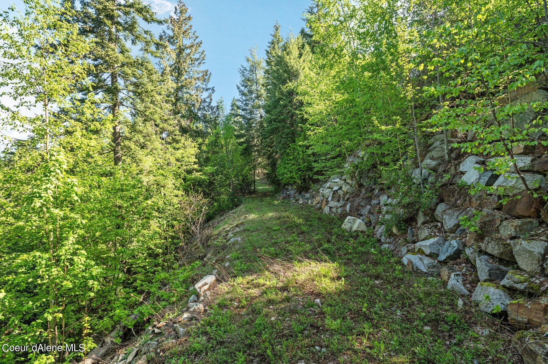 NNA  E30 SE Green Monarch Way, Sandpoint, Alaska image 13