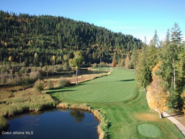 NNA  E30 SE Green Monarch Way, Sandpoint, Alaska image 18