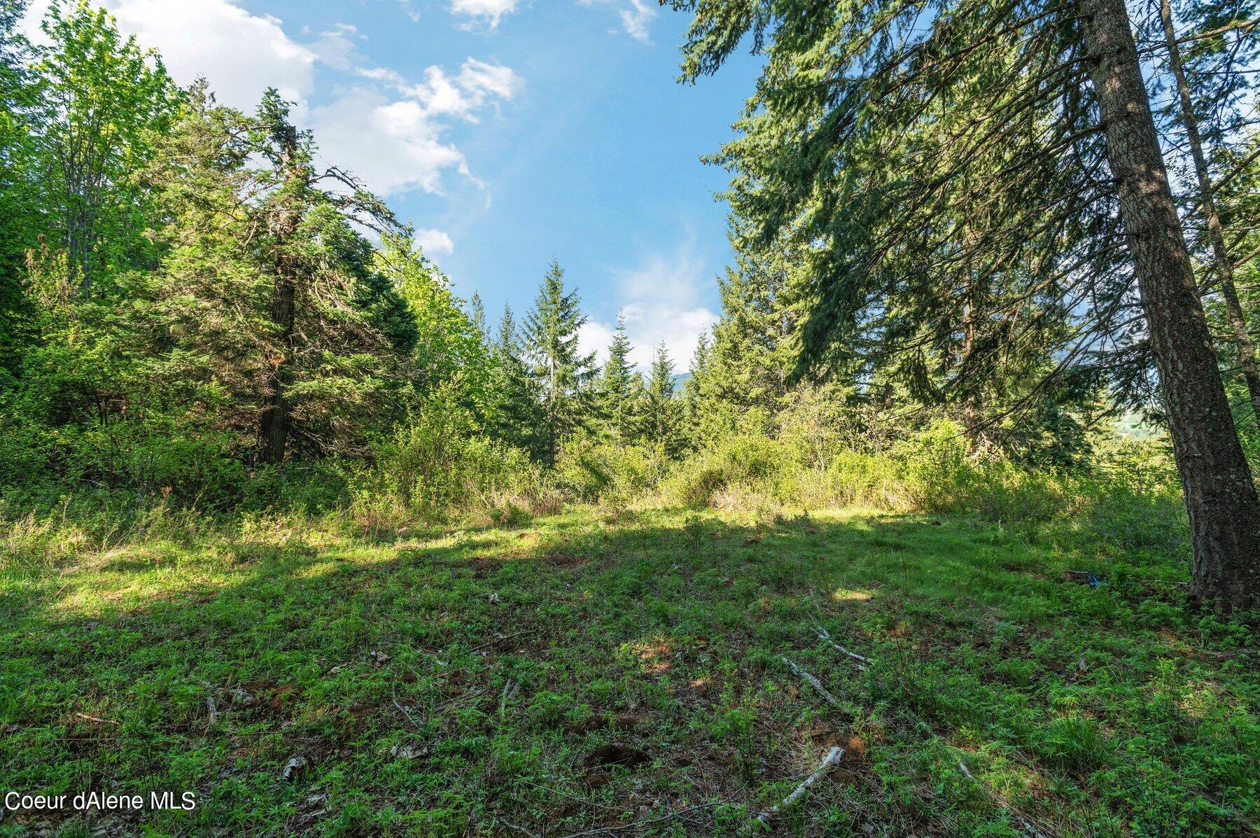 NNA  E30 SE Green Monarch Way, Sandpoint, Alaska image 9