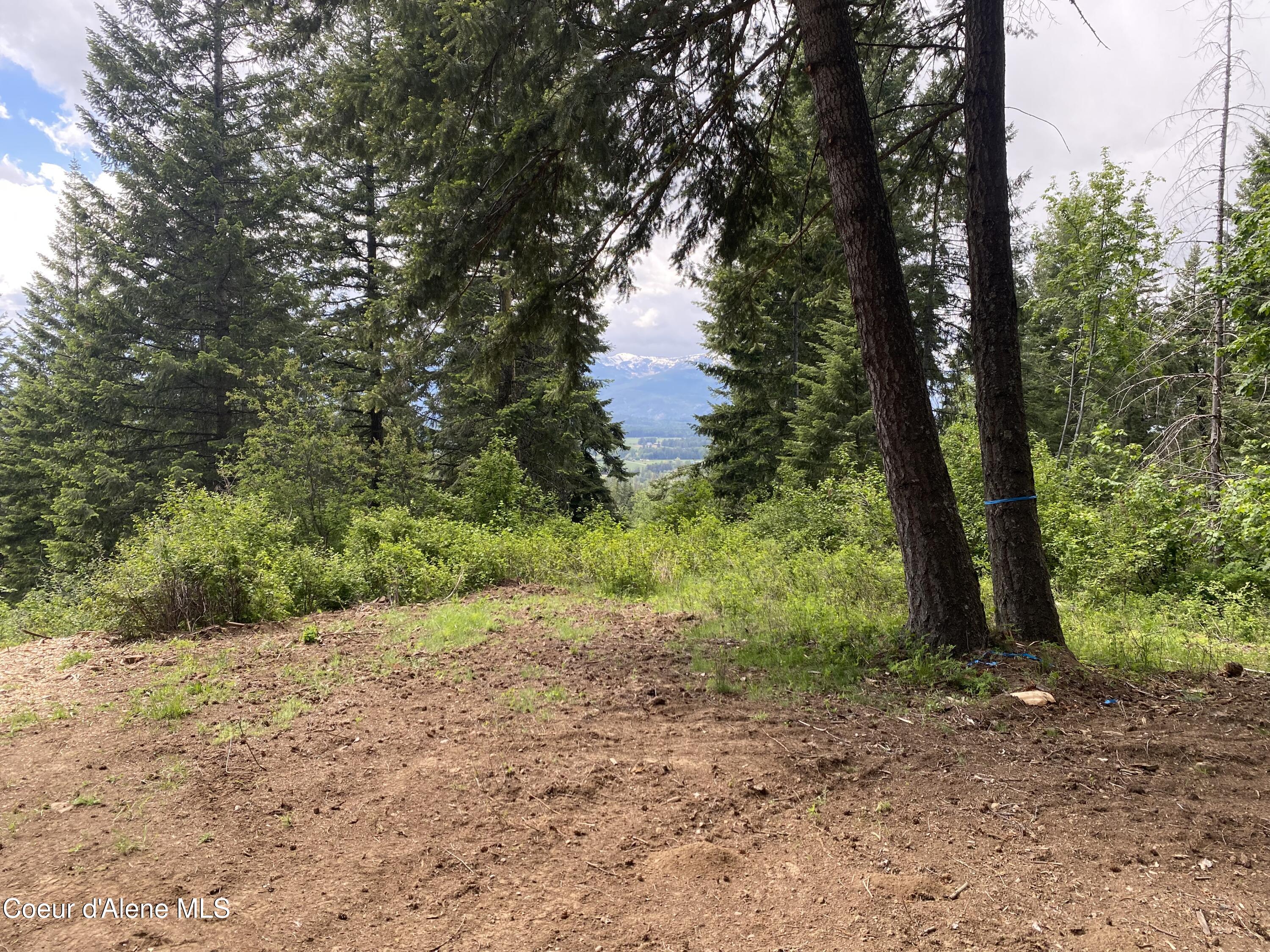 NNA  E30 SE Green Monarch Way, Sandpoint, Alaska image 3
