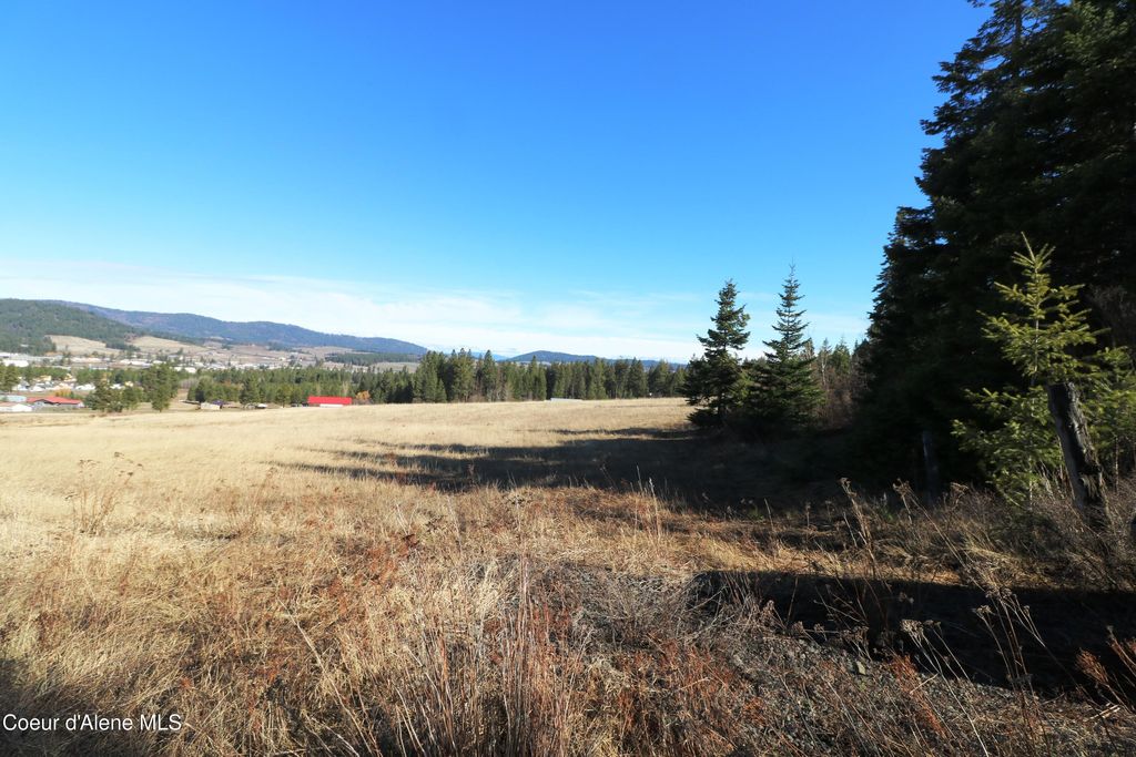 Photo of Tract 4 Thimbleberry, Plummer, ID 83851 (MLS # 26-3147)