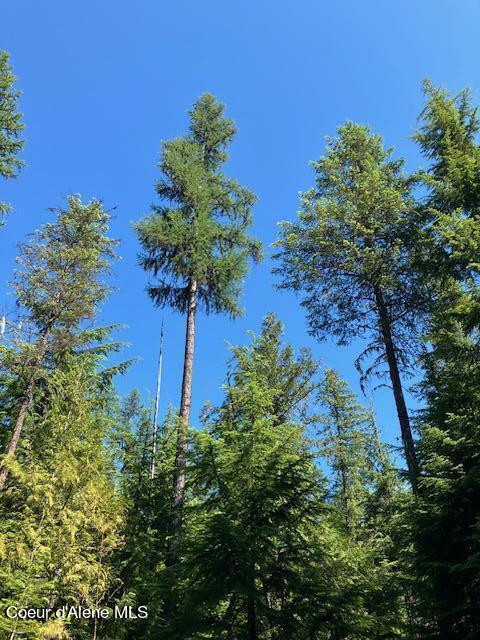 NNA Toad Road  ( 5acres), Priest River, Idaho image 14