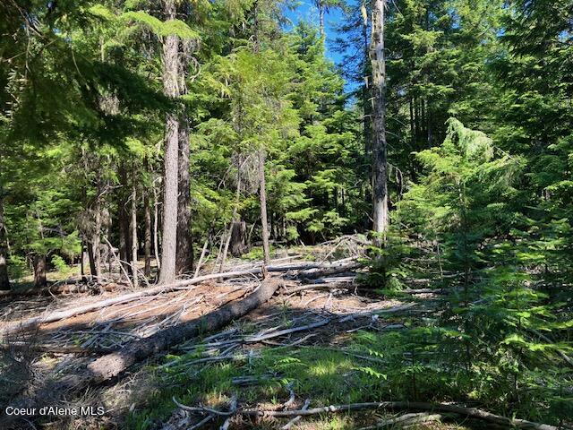 NNA Toad Road  ( 5acres), Priest River, Idaho image 6