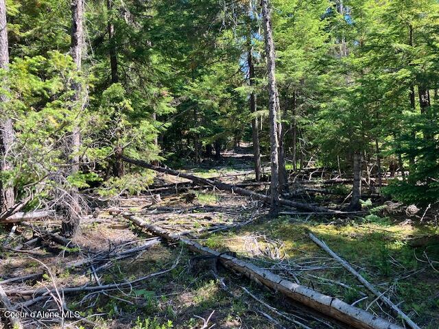 NNA Toad Road  ( 5acres), Priest River, Idaho image 12