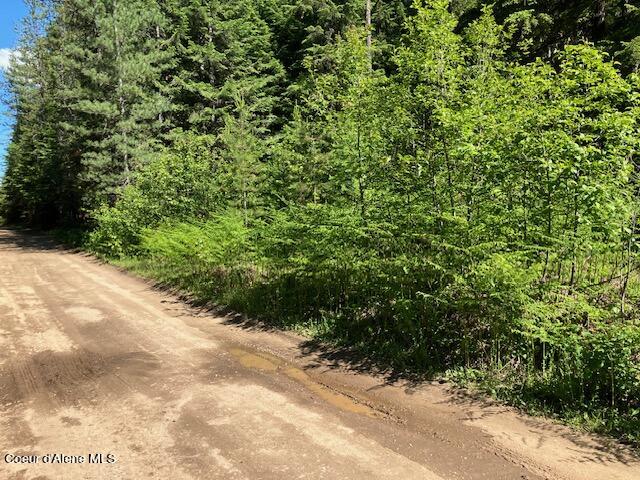 NNA Toad Road  ( 5acres), Priest River, Idaho image 17