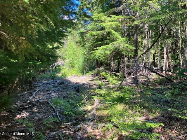 NNA Toad Road  ( 5acres), Priest River, Idaho image 4