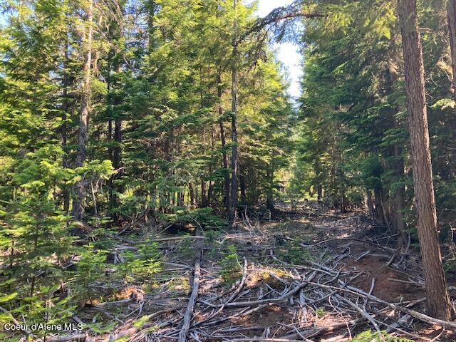 NNA Toad Road  ( 5acres), Priest River, Idaho image 5