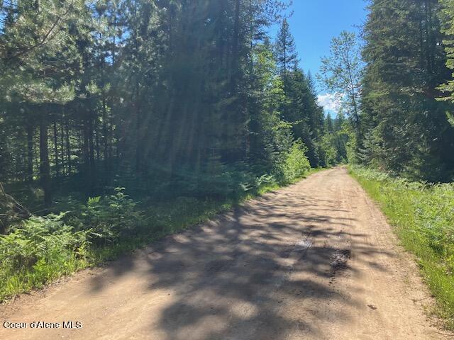 NNA Toad Road  ( 5acres), Priest River, Idaho image 18