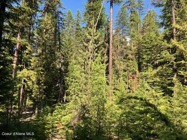 NNA Toad Road  ( 5acres), Priest River, Idaho image 13