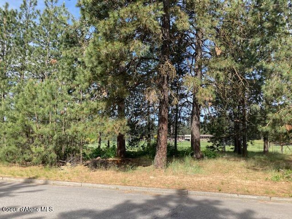 Photo of Fairway, Coeur dAlene, ID 83815 (MLS # 26-430)