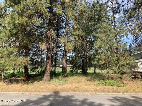 Vacant Land For Sale - Fairway<br/> Coeur d'Alene, ID 83815