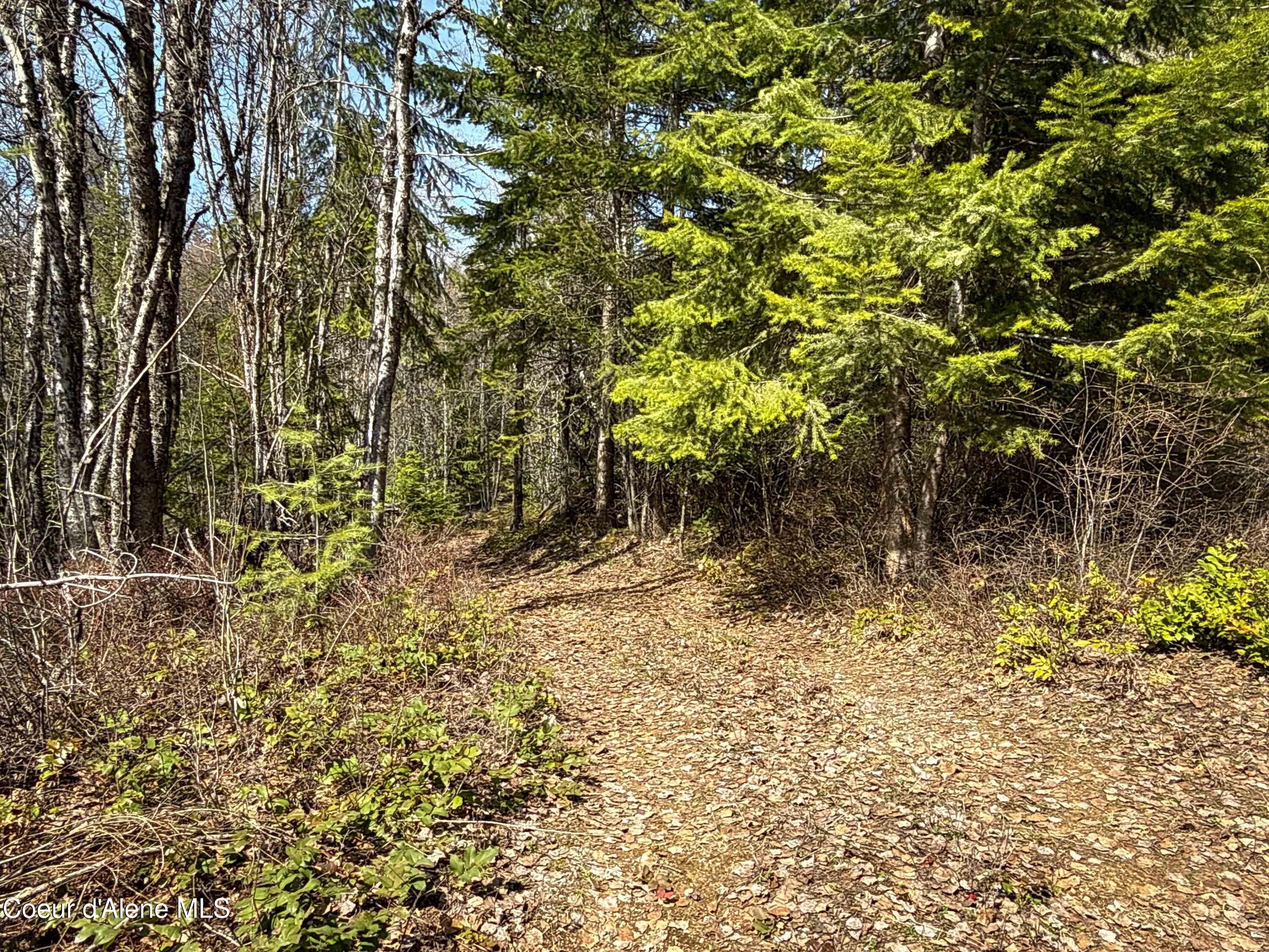 NKA Raven Ridge
