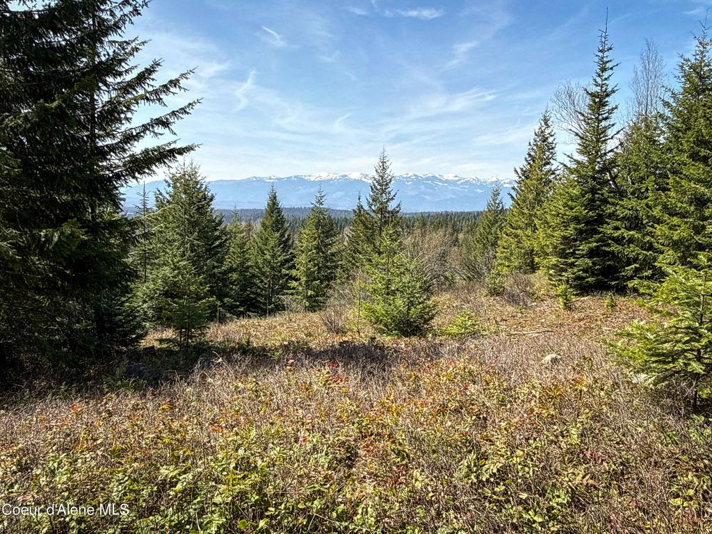 Photo of NKA Raven Ridge Ridge, Sandpoint, ID 83864 (MLS # 26-3847)