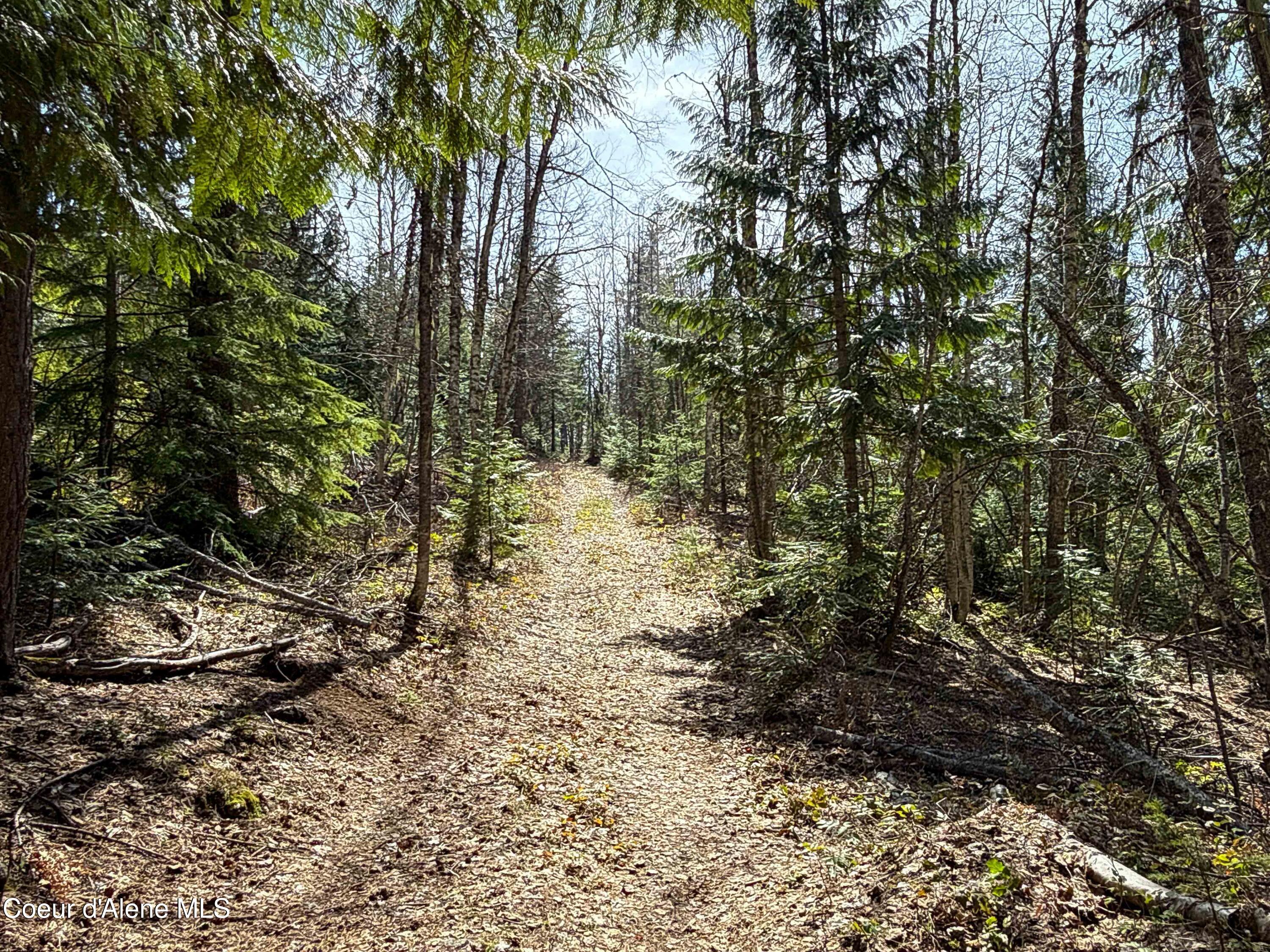 NKA Raven Ridge