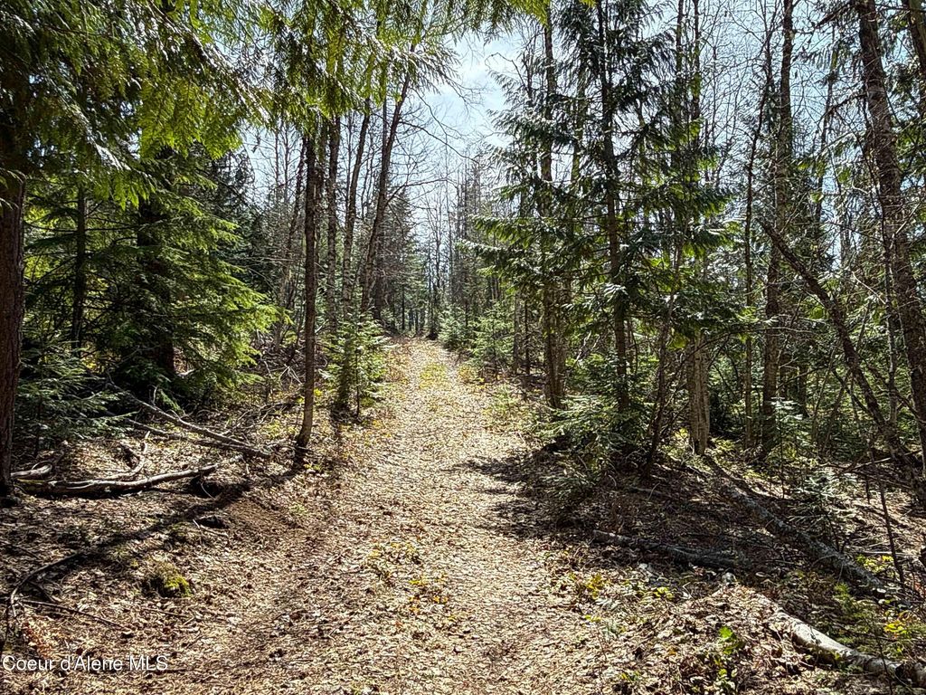 Photo of NKA Raven Ridge Ridge, Sandpoint, ID 83864 (MLS # 26-3847)