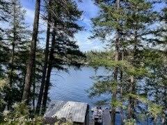 23157 W Lower Twin Lake, Rathdrum, Texas image 22