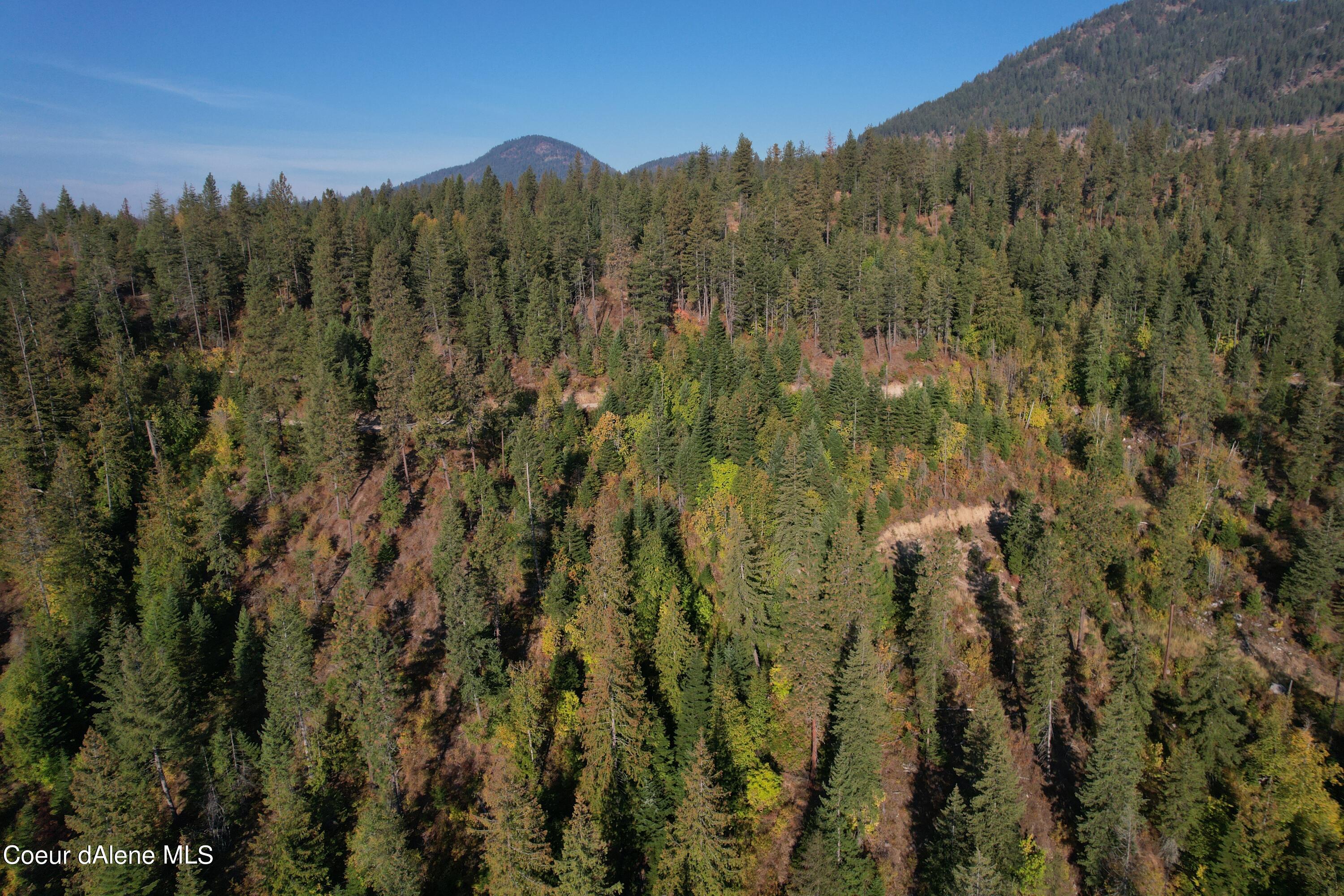 NKA Carr Creek, Sandpoint, Idaho image 9