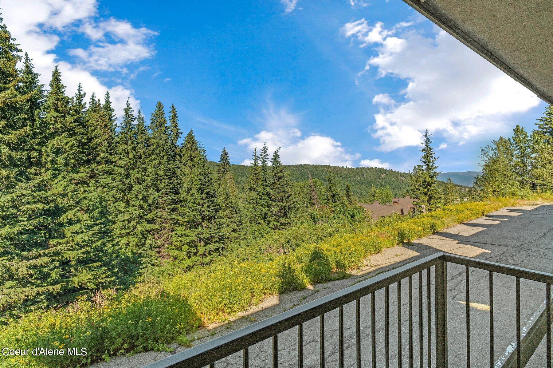 8707 Schweitzer Mountain Rd #202, Sandpoint, Idaho image 28