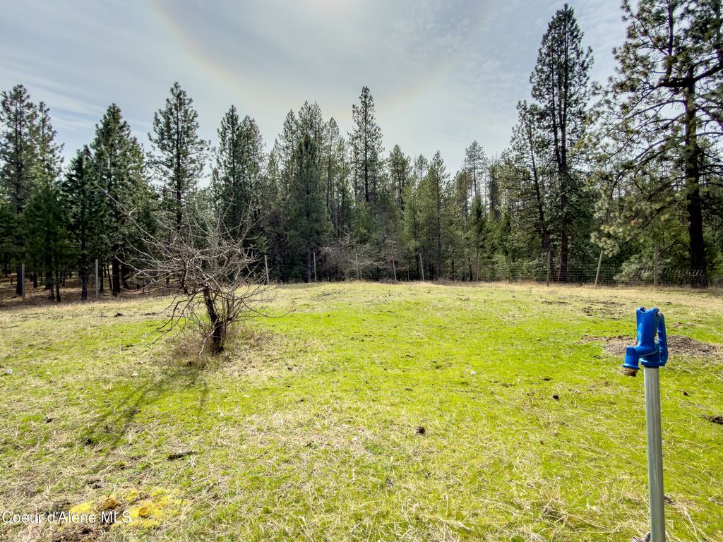 Photo of 919 Silver Springs Springs, Moyie Springs, ID 83845 (MLS # 26-3050)
