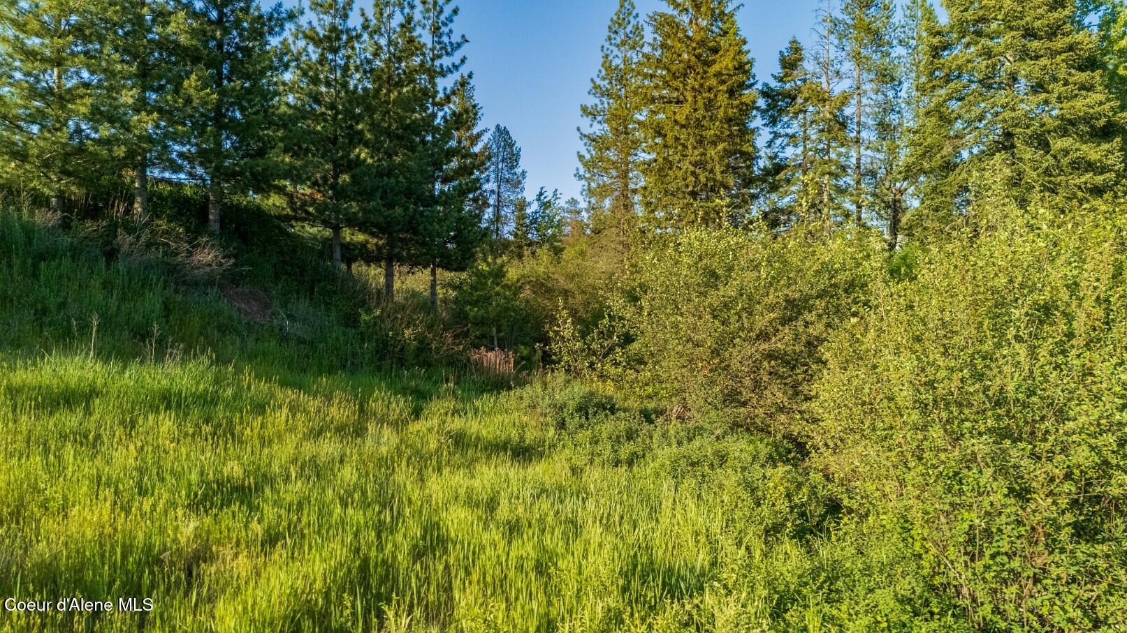 63941 W State Hwy 3 Rd, Fernwood, Alaska image 6