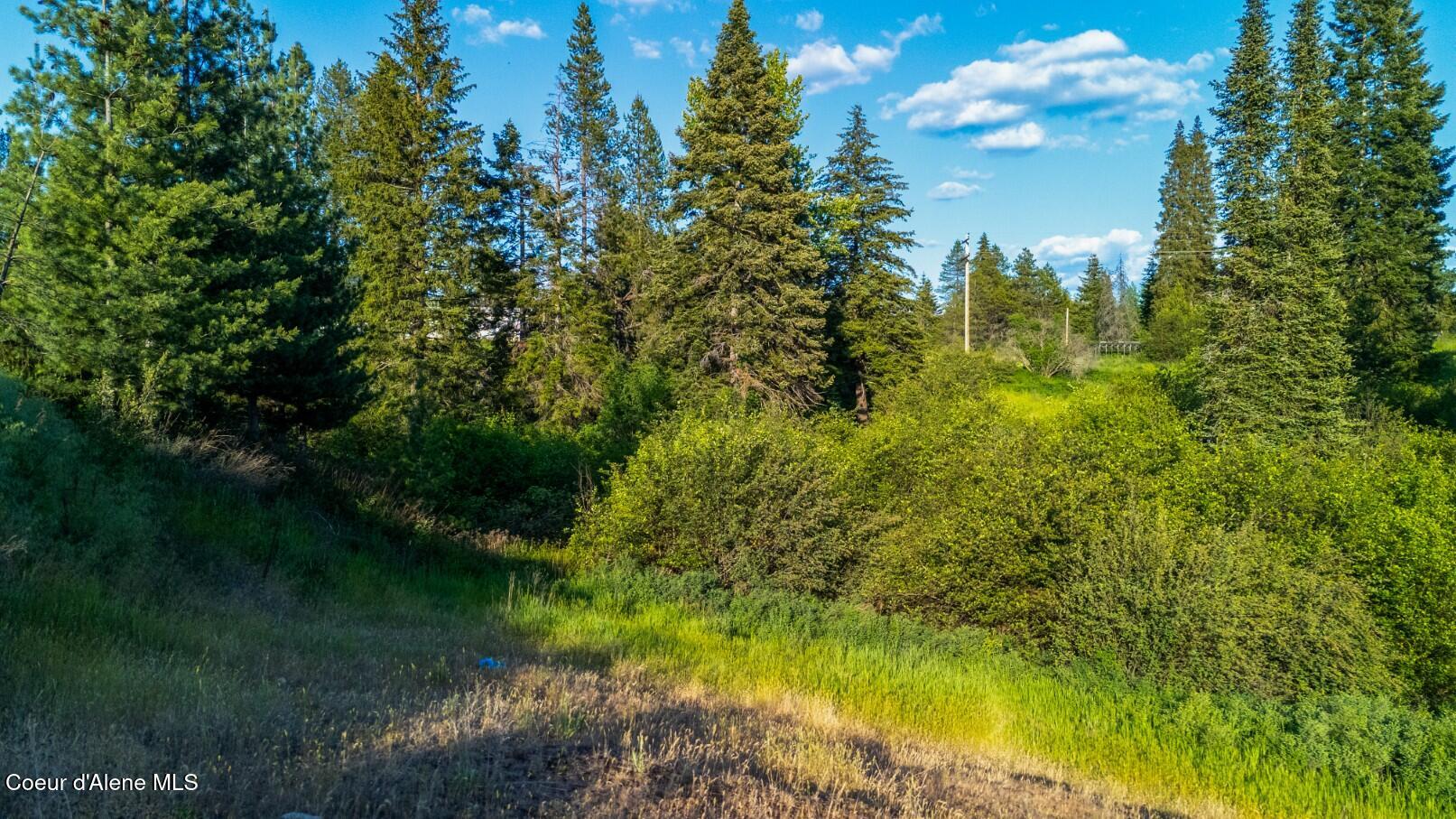 63941 W State Hwy 3 Rd, Fernwood, Alaska image 11