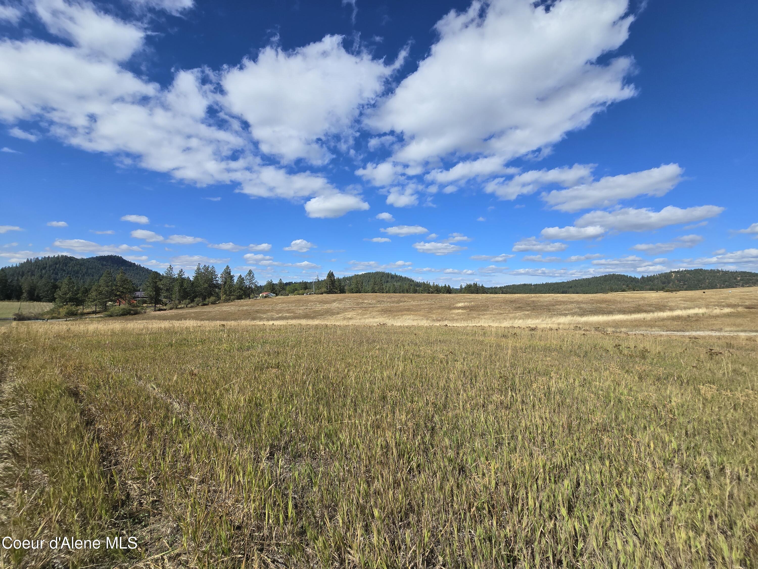 32926 S Hells Gulch Rd, St. Maries, Alaska image 28
