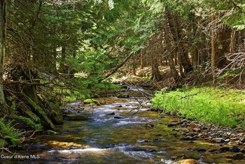 Vacant Land For Sale - NNA Susie Q<br/> Sandpoint, ID 83864