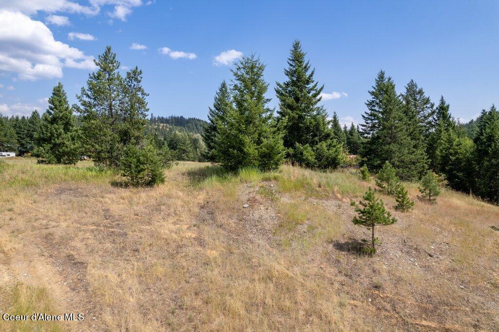 NKA Little Blacktail Mountain Rd, Careywood, Idaho image 14