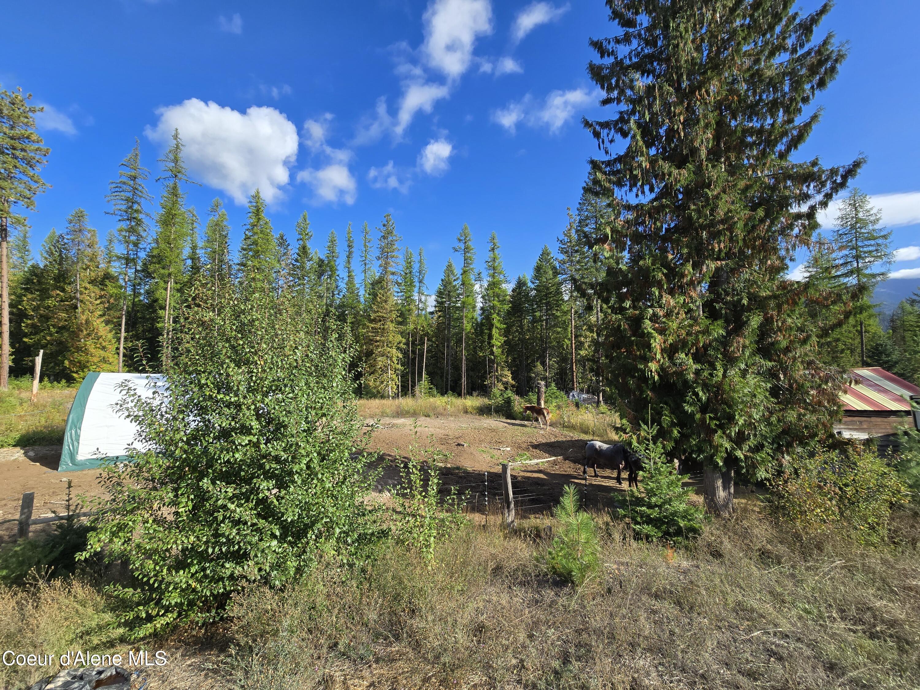 950 Old Range Rd, Clark Fork, Idaho image 37