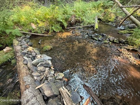 Vacant Land For Sale - 700 White Pine Way Way<br/> Fernwood, ID 83830