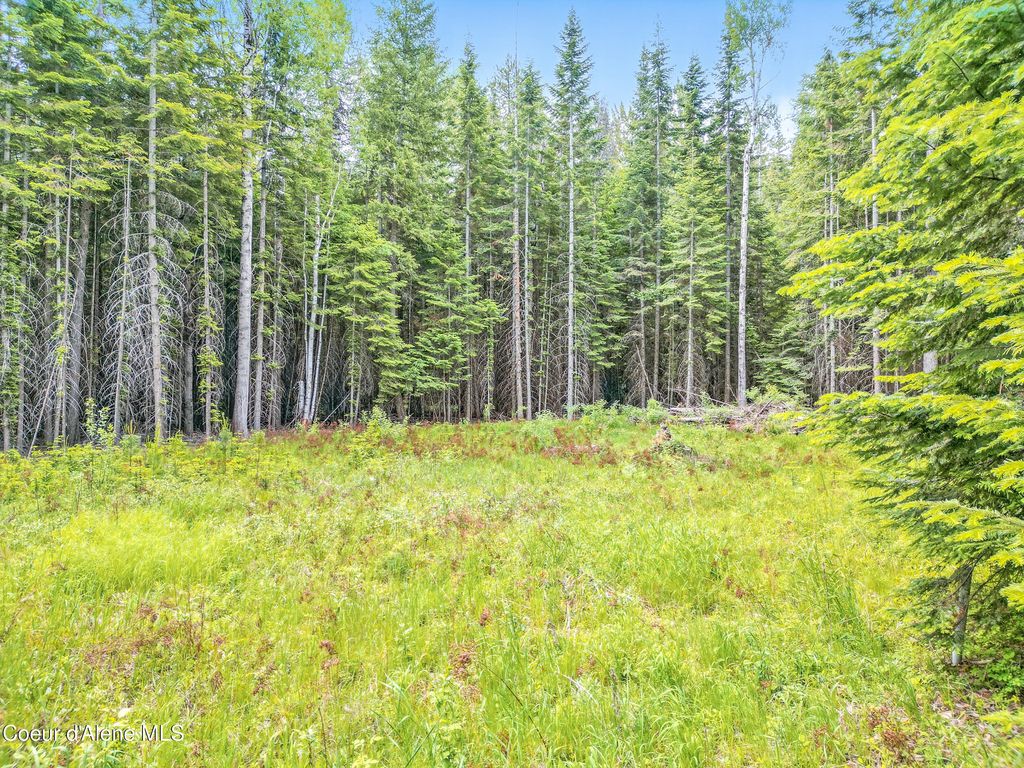 Photo of 92 Camas Dr, Priest River, ID 83856 (MLS # 25-5695)