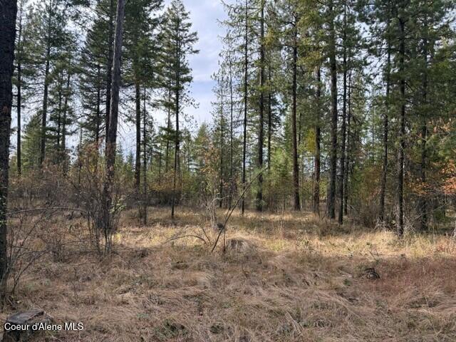 Photo of NNA Jachetta, Priest River, ID 83856 (MLS # 26-10384)