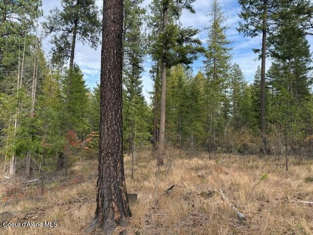 Photo of NNA Jachetta, Priest River, ID 83856 (MLS # 26-10384)