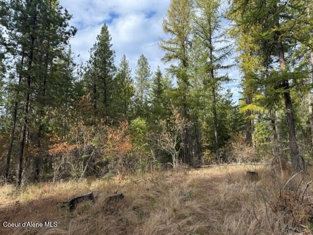 Photo of NNA Jachetta, Priest River, ID 83856 (MLS # 26-10384)