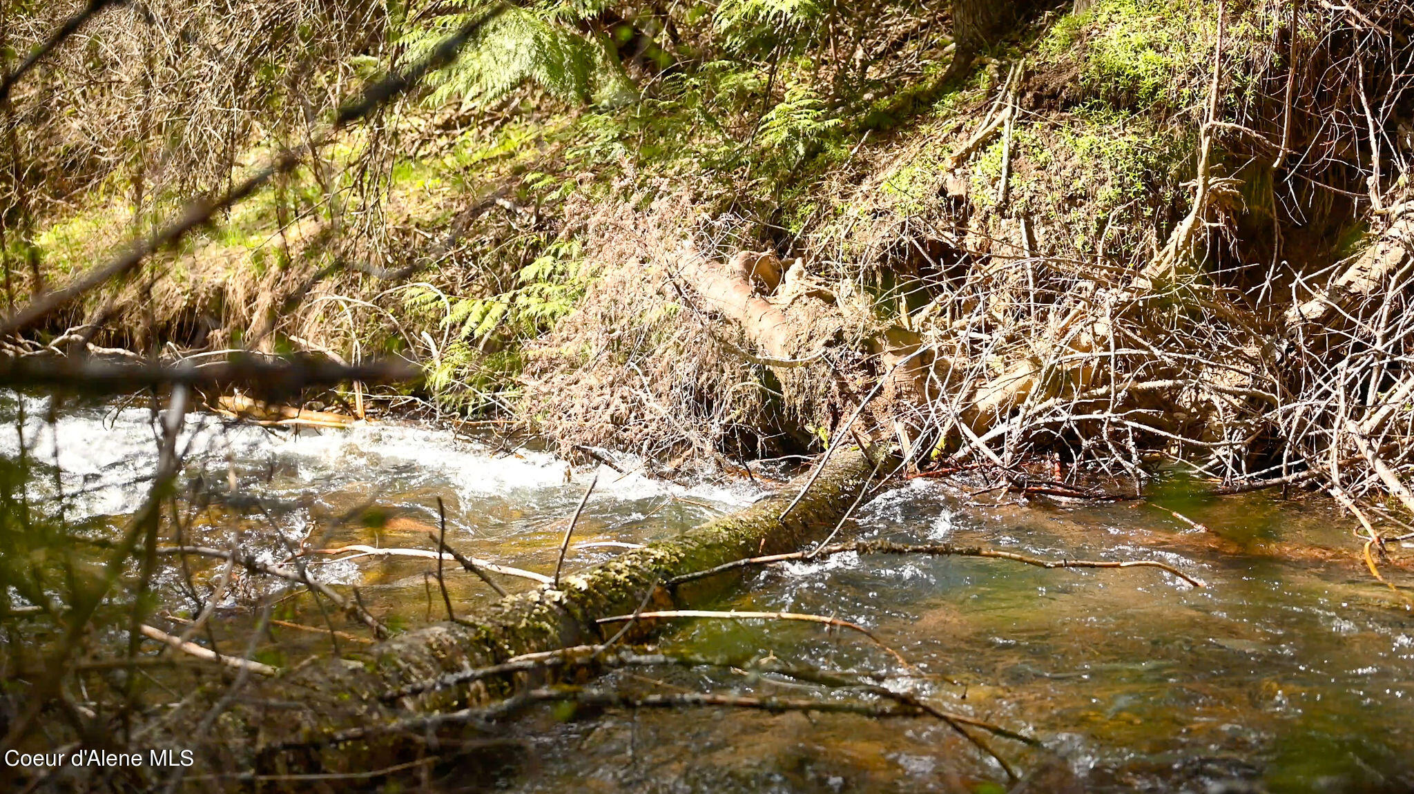 NKA Evans Creek, Medimont, Idaho image 7