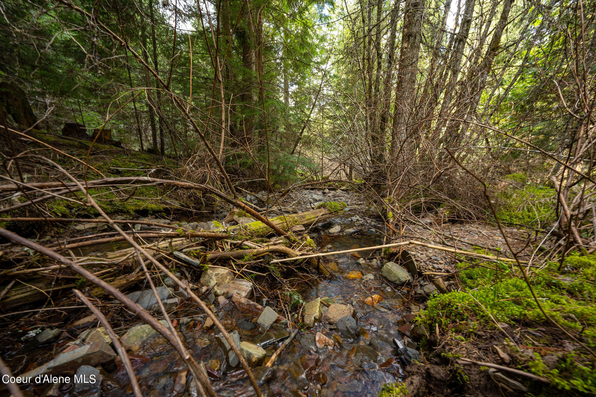 NKA Evans Creek, Medimont, Idaho image 22