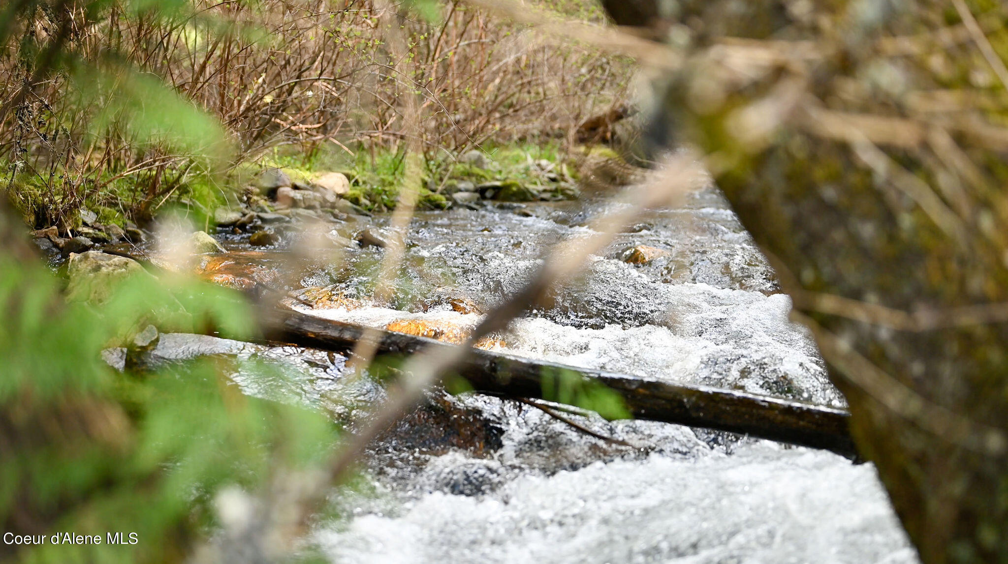 NKA Evans Creek, Medimont, Idaho image 4